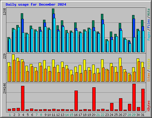 Daily usage for December 2024
