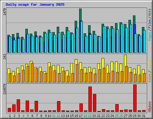 Daily usage for January 2025