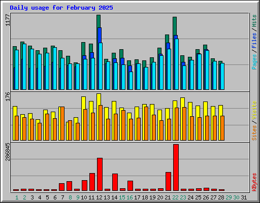Daily usage for February 2025