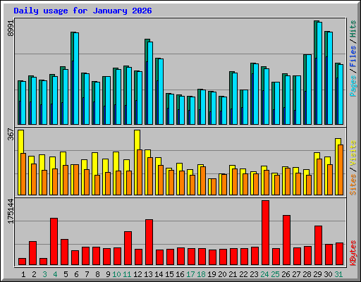 Daily usage for January 2026