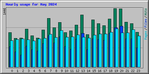 Hourly usage for May 2024