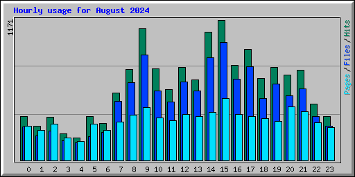 Hourly usage for August 2024