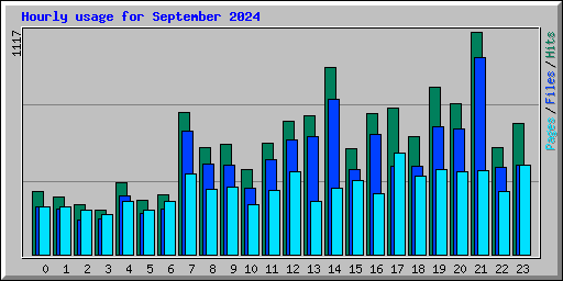 Hourly usage for September 2024