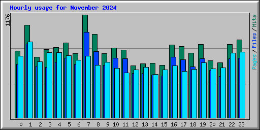 Hourly usage for November 2024
