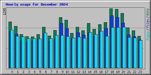 Hourly usage for December 2024
