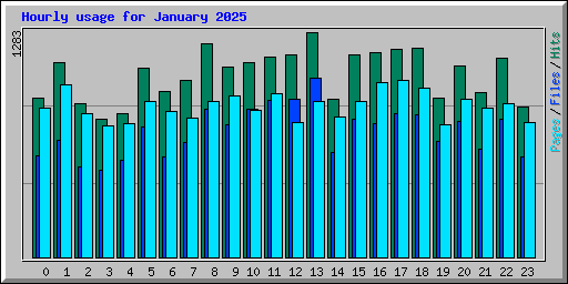 Hourly usage for January 2025