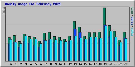 Hourly usage for February 2025