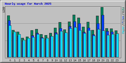 Hourly usage for March 2025