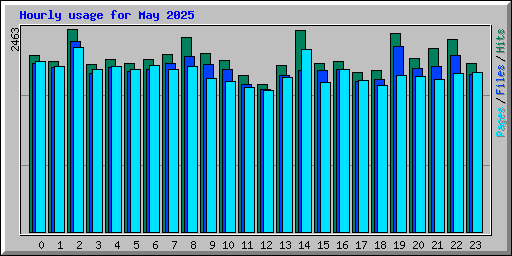 Hourly usage for May 2025
