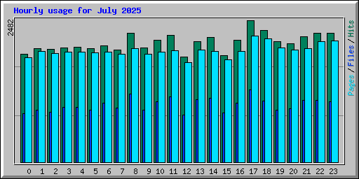 Hourly usage for July 2025