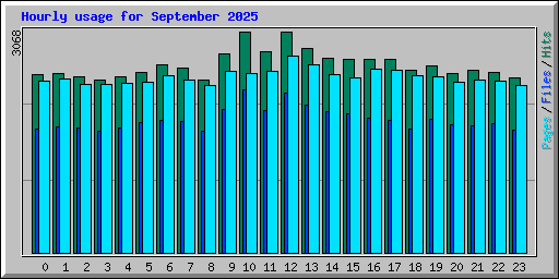 Hourly usage for September 2025