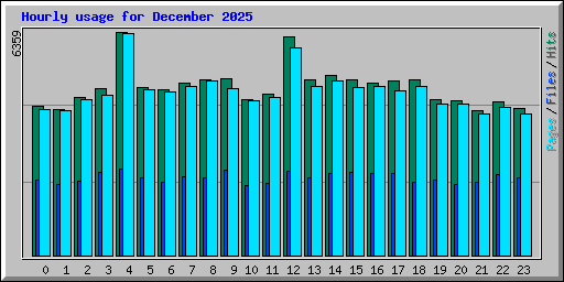 Hourly usage for December 2025