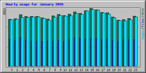 Hourly usage for January 2026